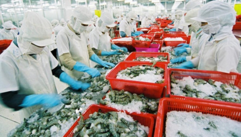 shrimp exports tumble in 2018