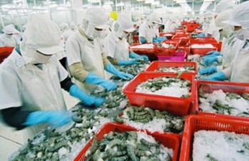 Shrimp exports tumble in 2018