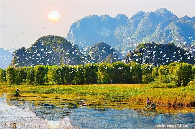 A charming view of Van Long Lagoon - Photo