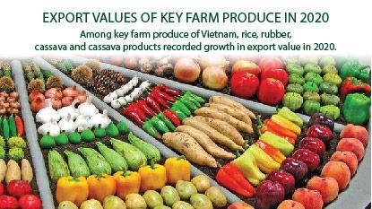 Export values of Viet Nam's key farm produce in 2020
