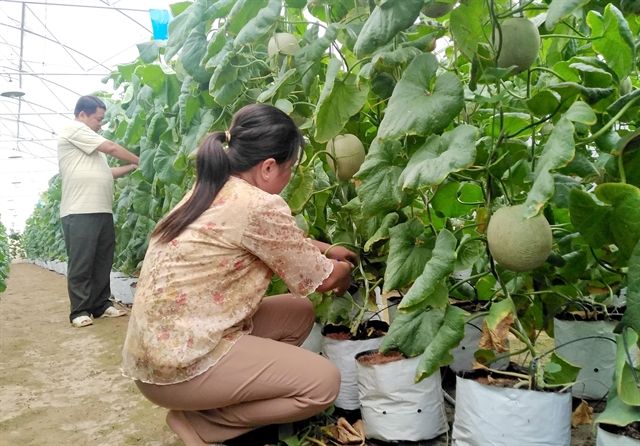 Tien Giang aims to create jobs for 16,000 labourers in 2021