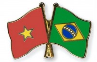 vietnam brazil diplomatic ties marked in brasilia
