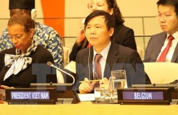 Vietnam successfully fulfils role as UNSC President in January