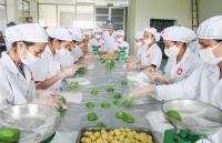 after covid 19 pandemic vietnam should prepare to welcome investment wave official