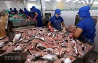 Fisheries sector grapples with impact of COVID-19