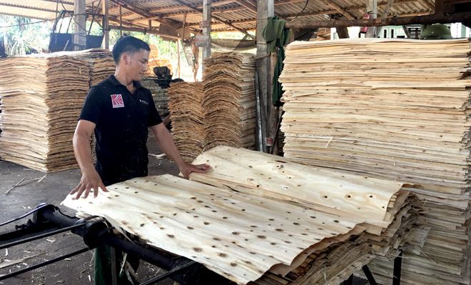 vietnams wood exports to eu likely to reach 1 billion usd thanks to evfta