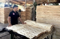 Vietnam’s wood exports to EU likely to reach 1 billion USD thanks to EVFTA