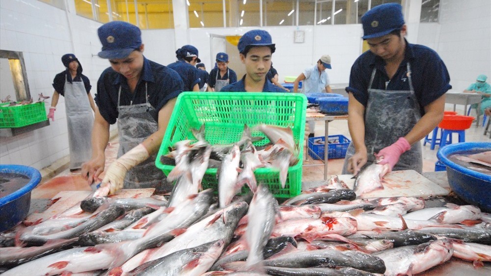Good news: Cambodia lifts ban on catfish imports from Viet Nam