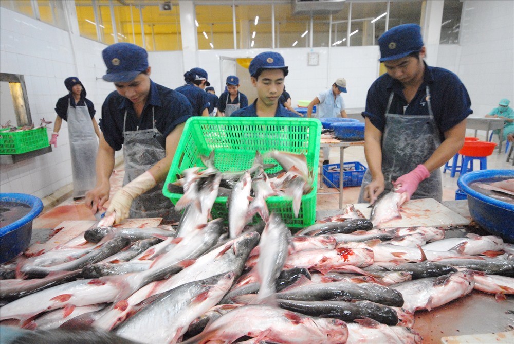 Good news: Cambodia lifts ban on catfish imports from Viet Nam