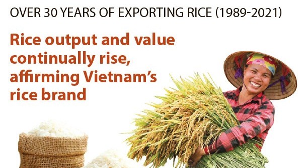 Viet Nam elevates rice brand on global market