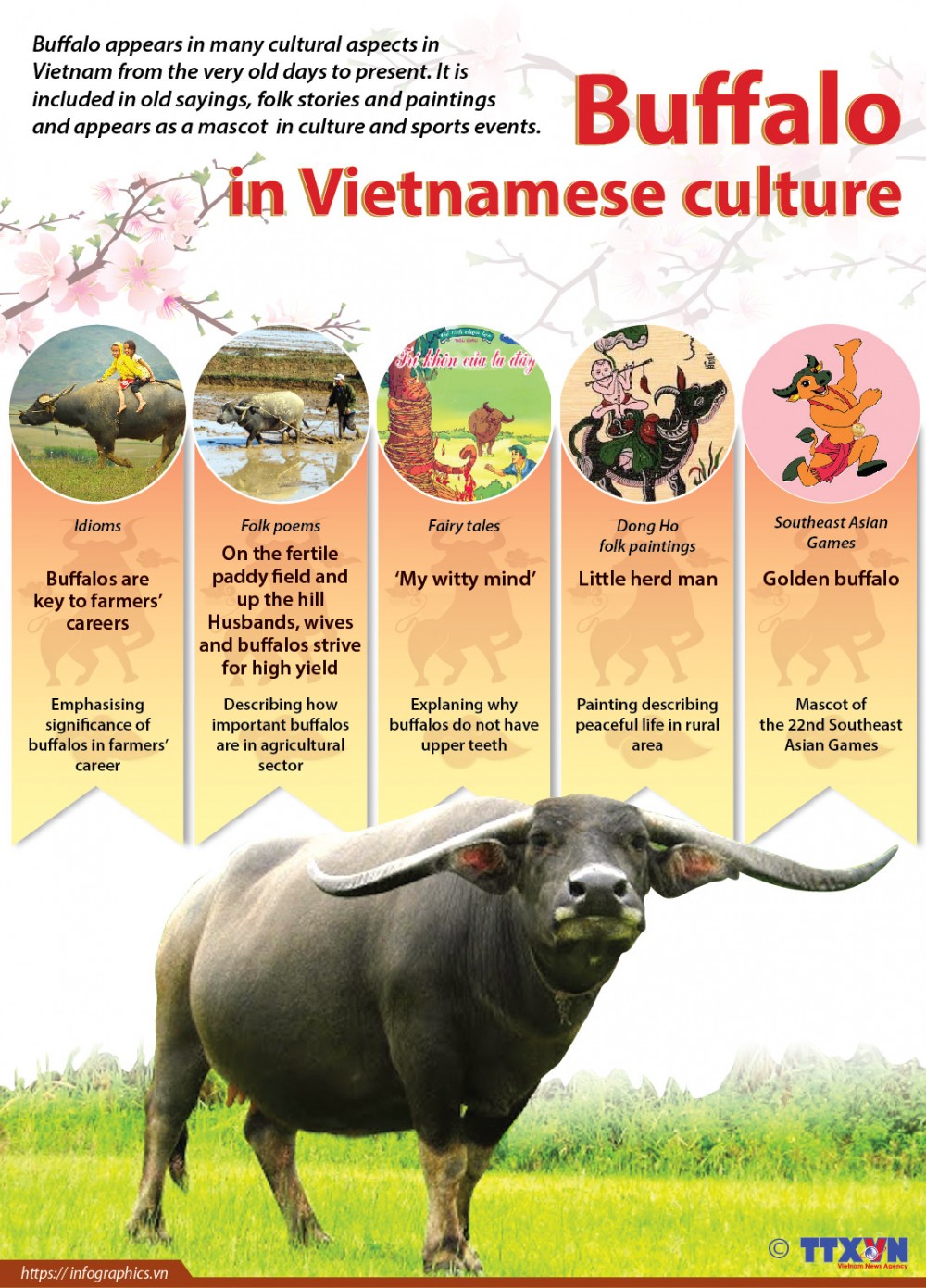 Buffalo in Vietnamese culture: From old sayings to a mascot in culture and sports events