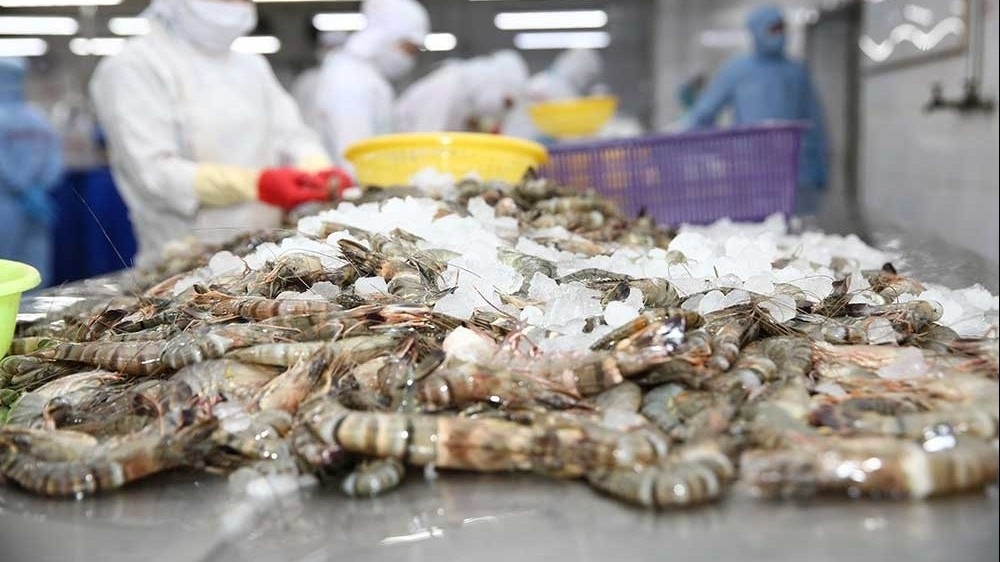 US removes anti-dumping tax on Minh Phu shrimp