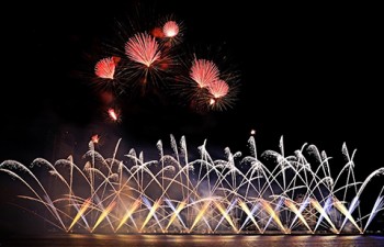 Da Nang destined for fireworks festival in June