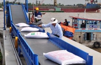 Rice export prices surge amid high demand