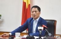 evfta a bright spot in vietnams economic recovery roadmap