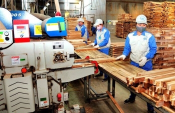 Wood exports post marked growth amid COVID-19 pandemic outbreak