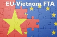 evfta to grow vietnams fertilizer industry experts