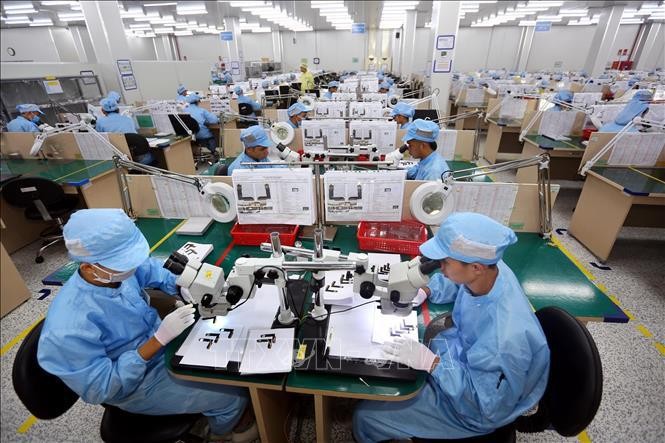 Viet Nam - emerging market that shone in a difficult year: MoneyWeek Viet Nam - emerging market that shone in a difficult year: MoneyWeek