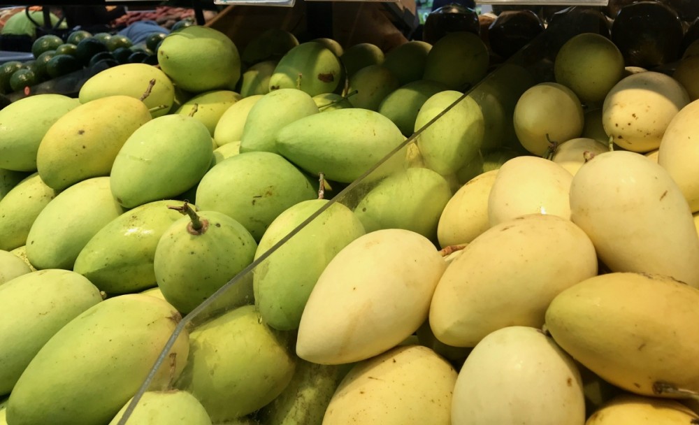 MOIT: US increases imports of Vietnamese mangoes