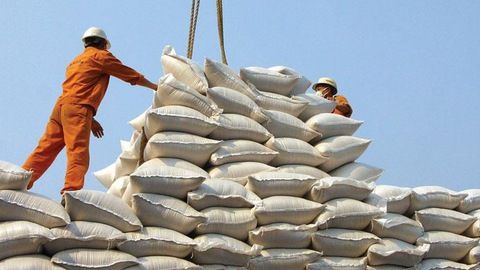 ministry of industry and trade proposes resuming rice exports