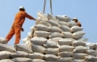 pm approves rice export resumption orders guaranteed food security