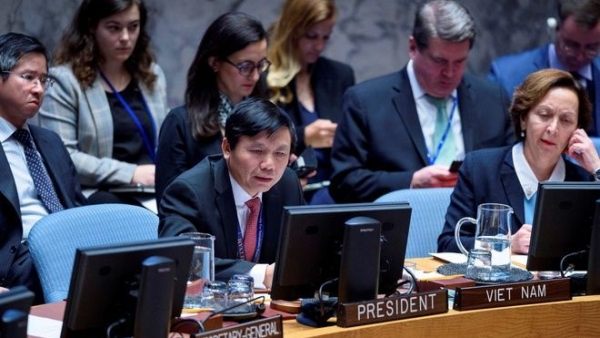 Ambassador Dang Dinh Quy: Vietnam opposes use of chemical weapons