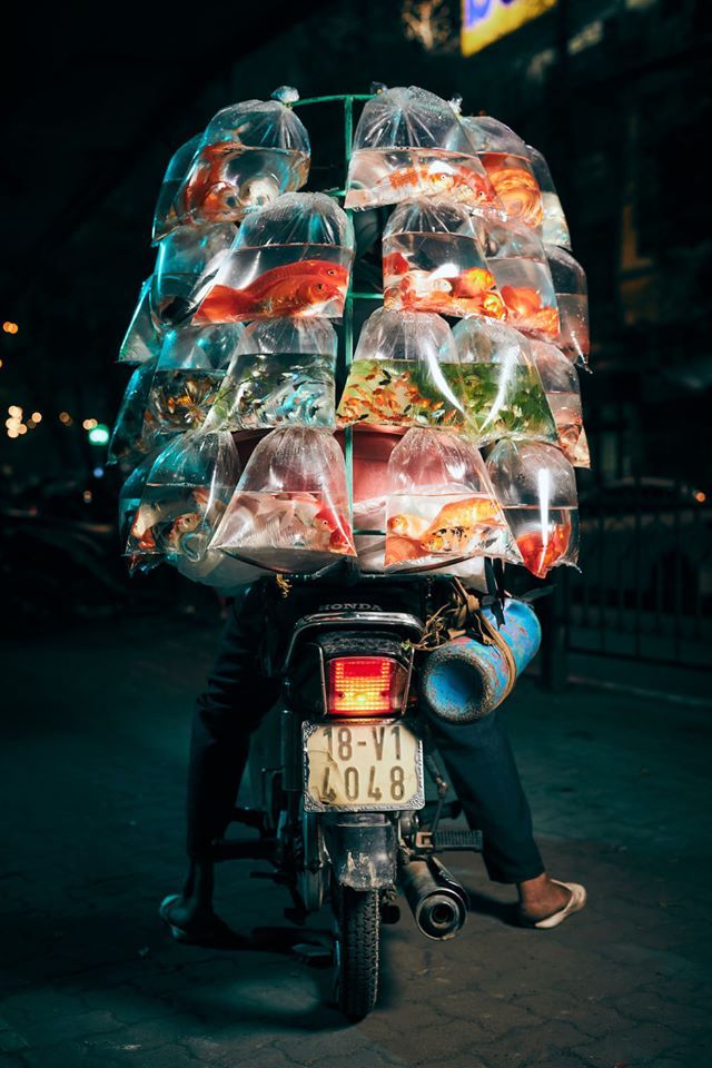 photograph of vietnamese fish seller wins grand prize at smithsonian contest