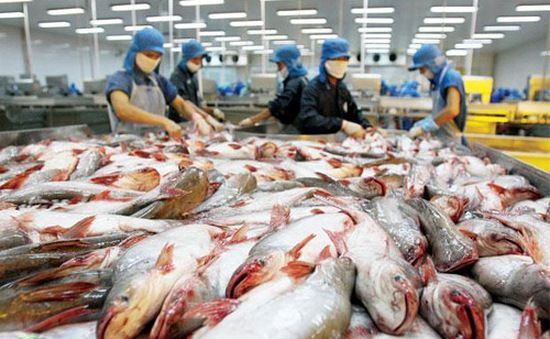 aquatic exports to china shows sign of recovery