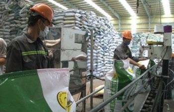 EVFTA to grow Vietnam’s fertilizer industry: Experts