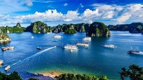 Ha Long introduces new marine tourism products