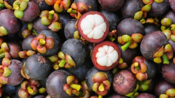 Russia increases mango, guava, and mangosteen imports from Viet Nam