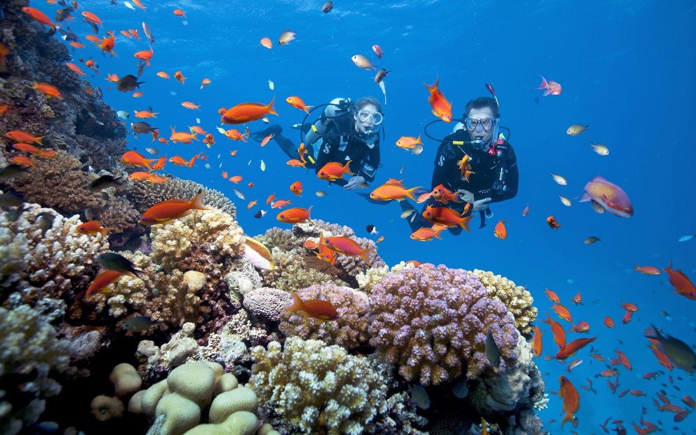 Scuba diving experience in Phu Quoc. (Photo: Internet)