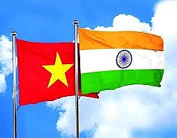 Vietnam records trade surplus of 343 million USD with India in Q1