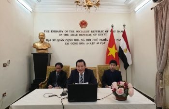 Webinar on President Ho Chi Minh held in Egypt