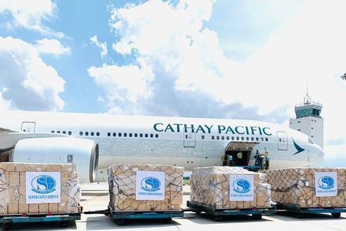 eight wide body aircraft transport vietnamese medical supplies to us