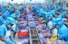 vietnamese fabrics exempted from indonesias new import tariffs