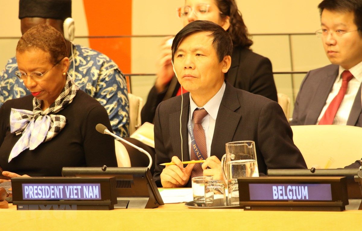 vietnam backs building of stable cyberspace ambassador dang dinh quy