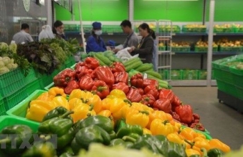 US becomes Vietnam’s largest supplier of fruits, vegetables