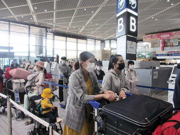 vietnamese embassy in japan coordinates to bring over 340 citizens home