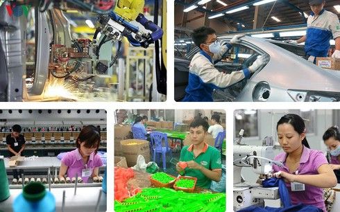 experts vietnamese businesses strive to overcome barriers upon joining evfta