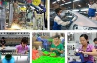 Experts: Vietnamese businesses strive to overcome barriers upon joining EVFTA
