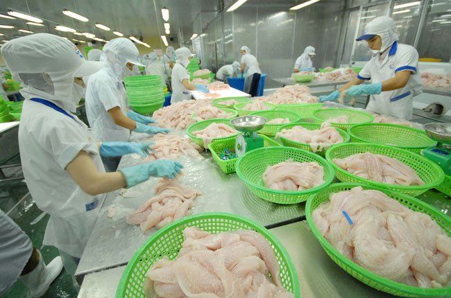 vcci vows to help vietnamese business community when evfta comes into effect