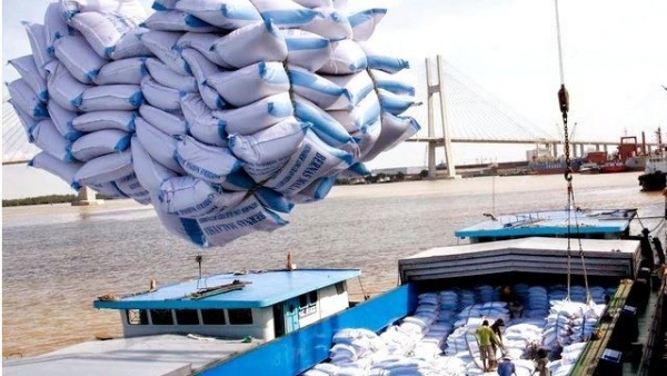 Rice exports to EU anticipated to make breakthroughs through EVFTA