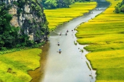 Vietnam’s agriculture to be world’s top 15 most developed
