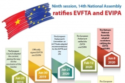 pathway for local businesses to benefit from evfta and evipa