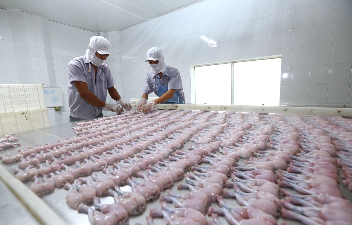 evfta a golden opportunity for vietnam to recover its economy analysts