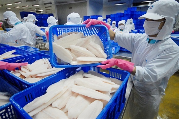 tra fish industry strives to win over domestic consumers