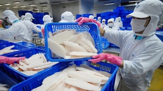 Mekong Delta firms see new orders down 80.7 percent due to COVID-19 pandemic