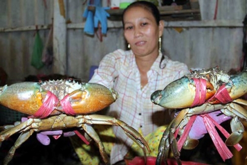 Four-month crab exports increase sharply to 44.5 million USD