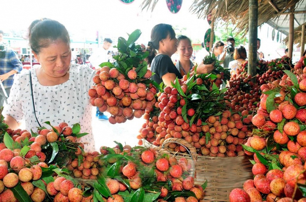 2233 veggie fruit exports exceed 15 billion usd in first half